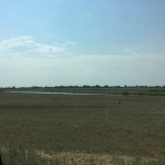 Saratov region steppe's the most fertile soil has hardy been used...